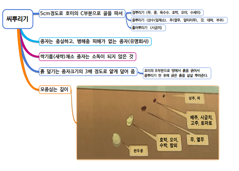씨뿌리기와 모종심는 깊이의 설명과 그림을 나타낸다.