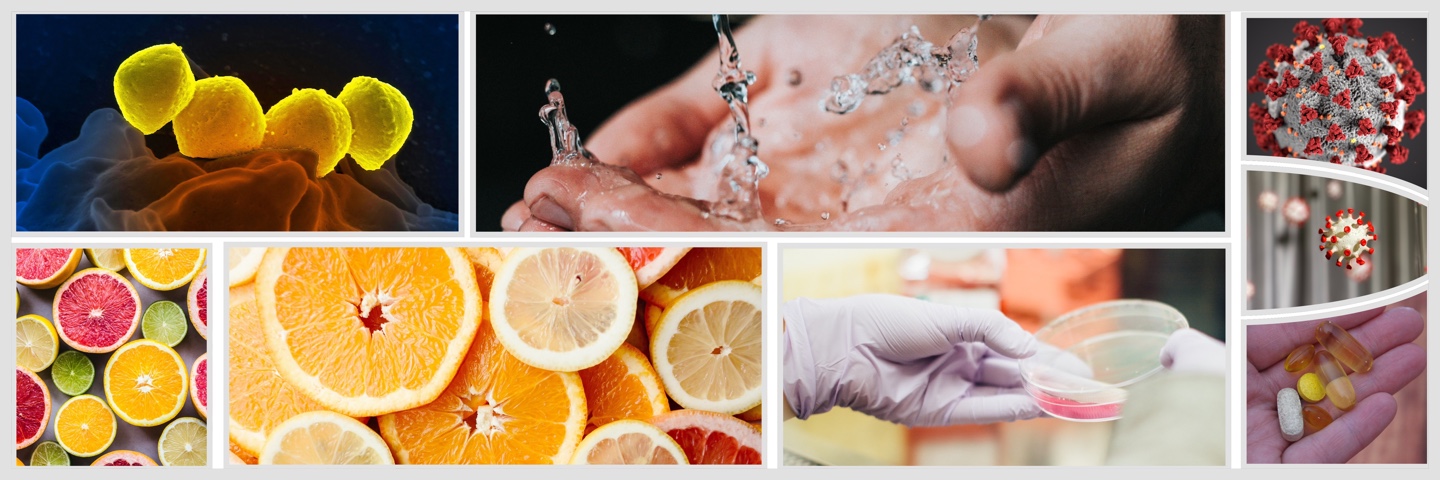 면역력을 높여야 건강한 몸을 유지한다