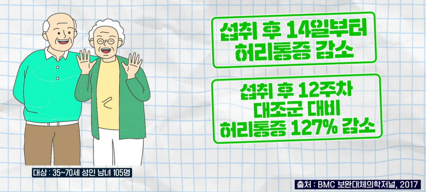 가자추출물 효능