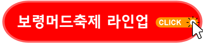 머드축제 행사 라인업