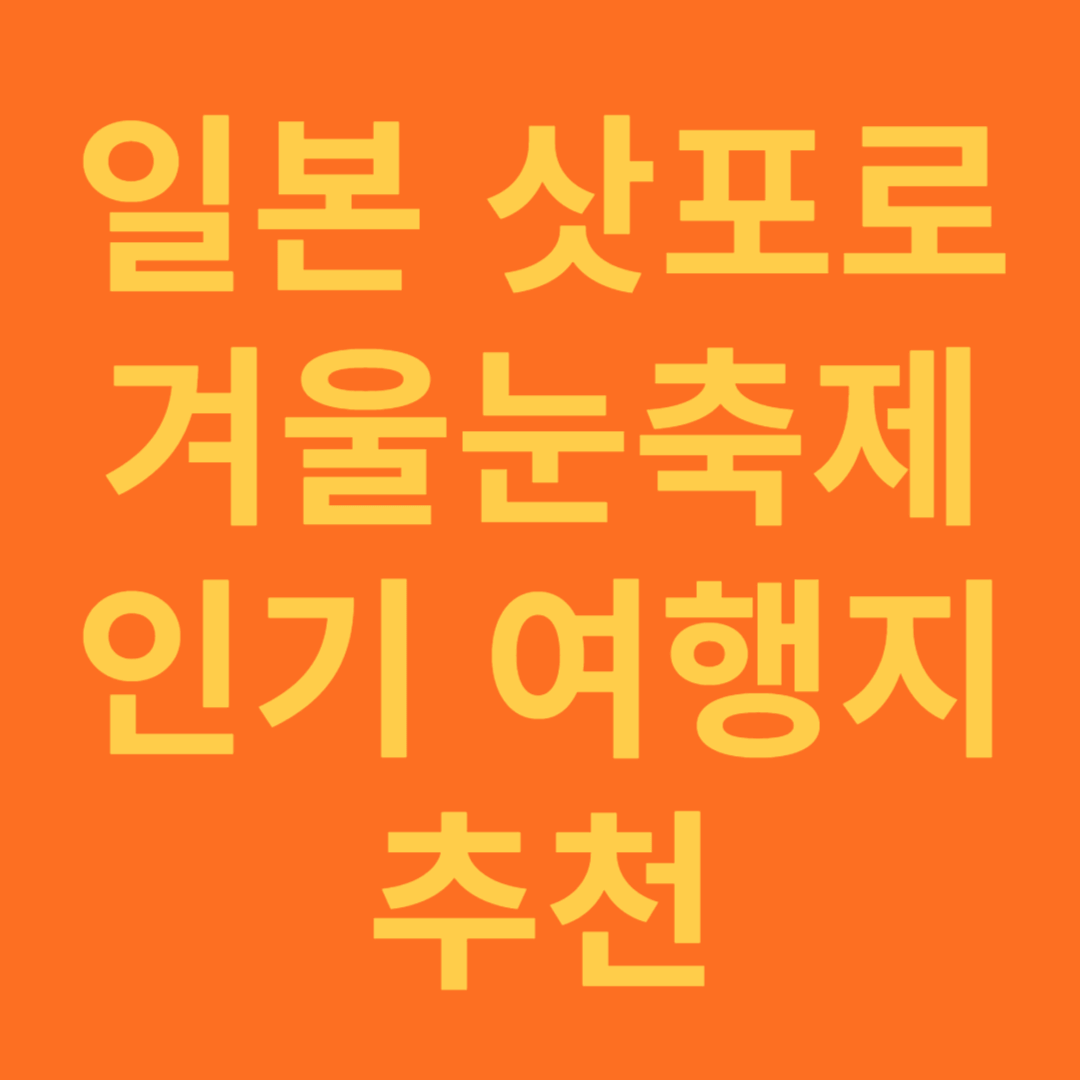 일본 삿포로 겨울 눈축제와 인기 여행지 추천