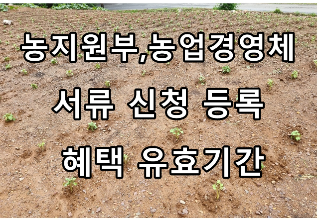 농지원부, 농업경영체 서류 신청 등록 및 혜택 유효기간