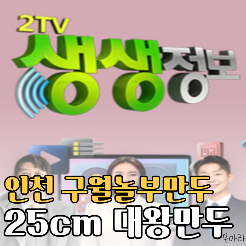 생생정보 인천 구월놀부만두 수제만두 맛집 지름 25cm 대왕만두국