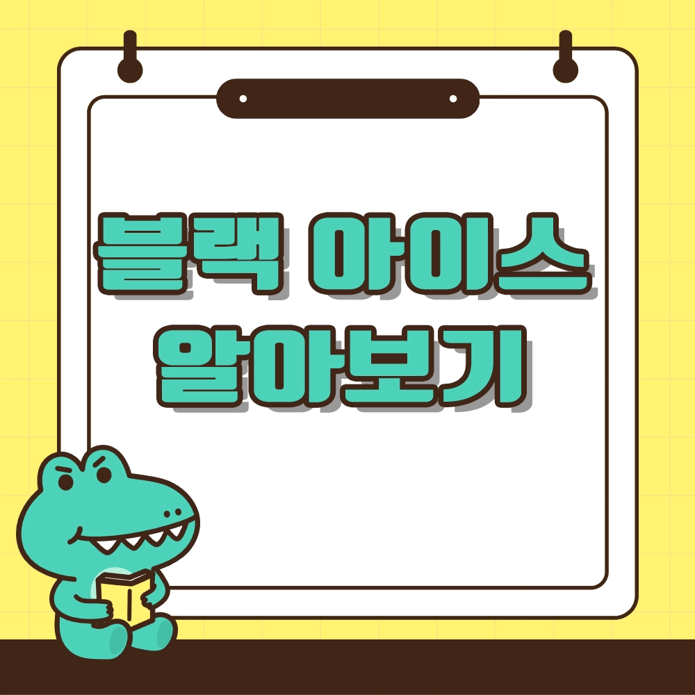 블랙아이스 알아보기