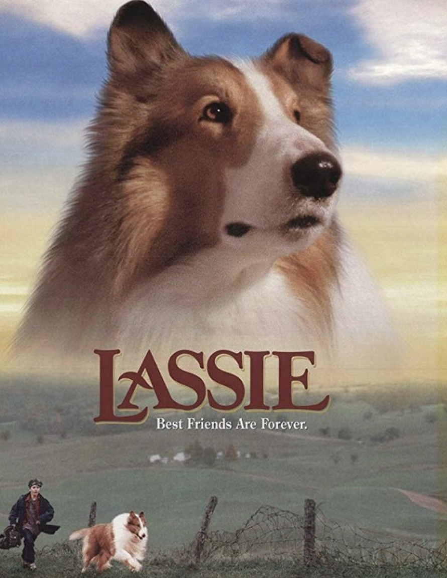 영원한 친구, 래시(Lassie) – 1994