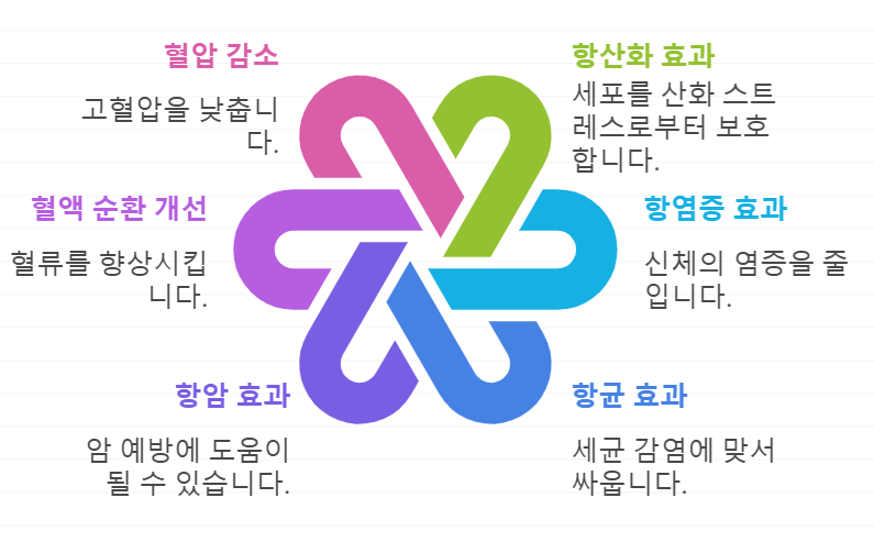 쿠마린 효능
