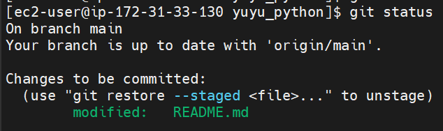 git status