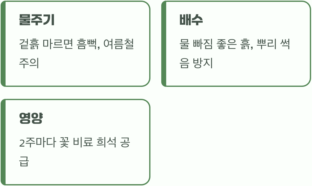 목마른 여왕님을 위하여, 물과 양분