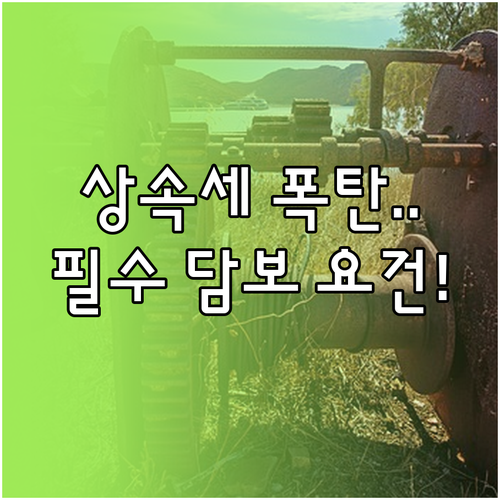 비유동성 자산 승계 상속세 연부연납 ..