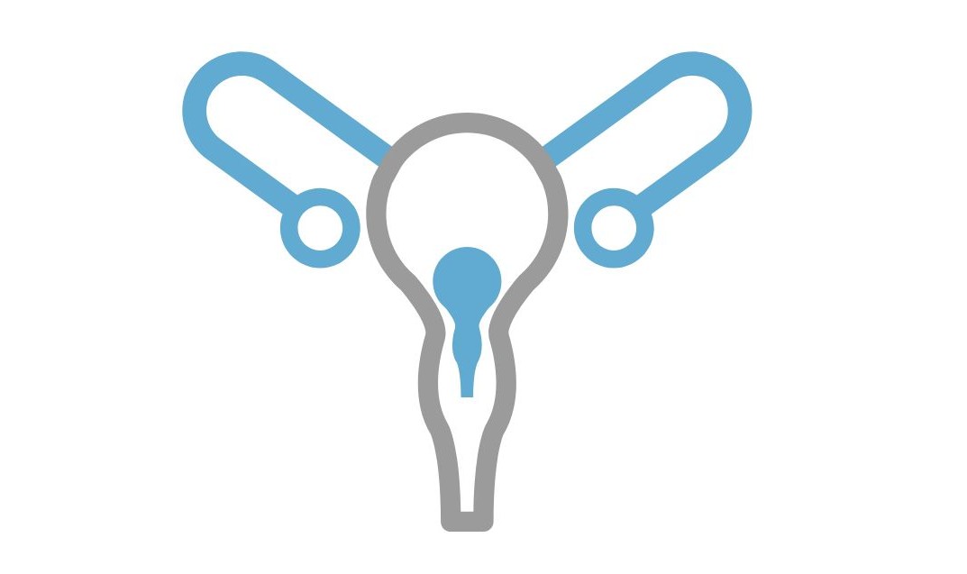 여성 자궁 이미지