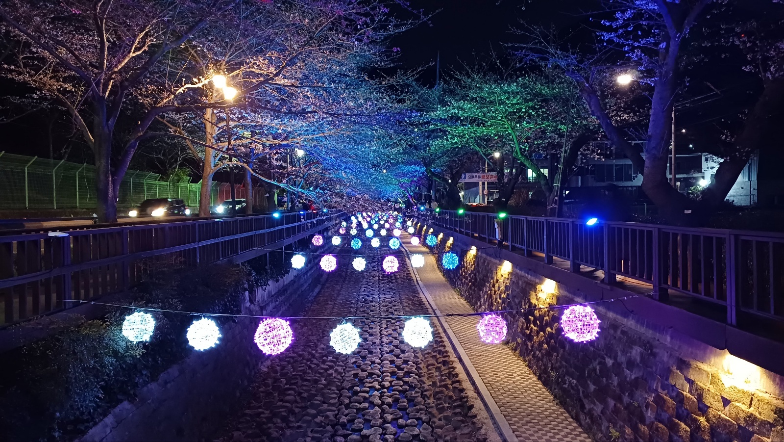 여좌천 벚꽃11