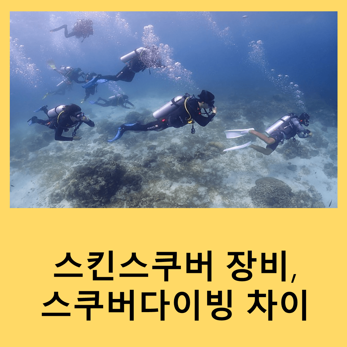 스킨스쿠버