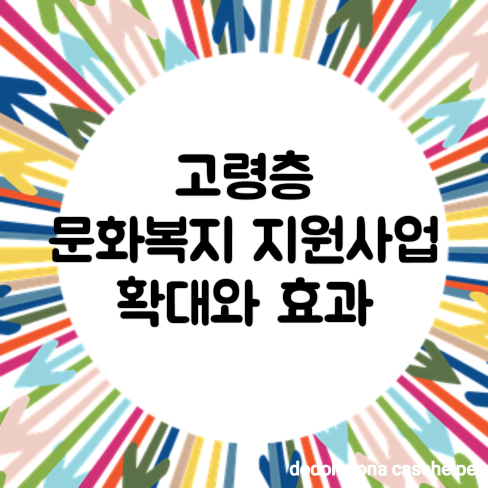 고령층 문화복지 지원사업 확대와 효과