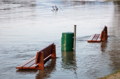 재난/재해로 인한 생활안정자금은 어떻게 신청하나요?