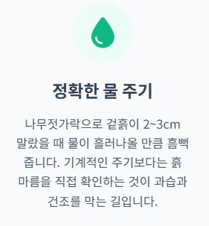 블루베리 키우기