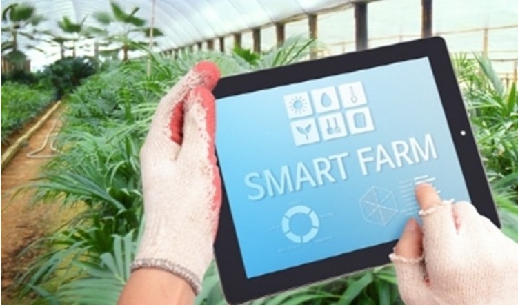 스마트팜 종합자금