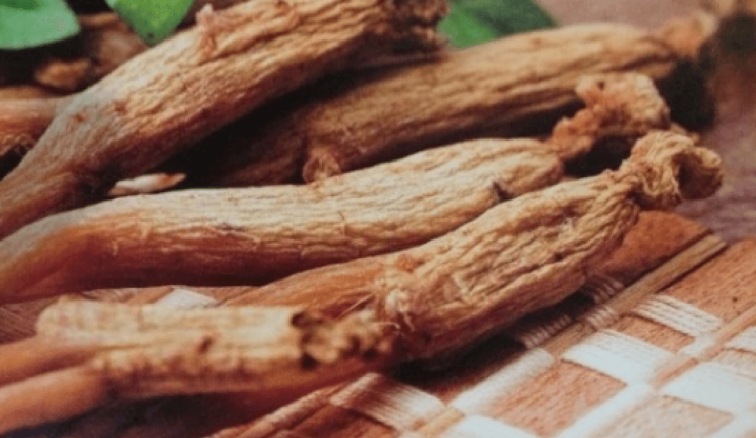 이석증에 좋은 음식 홍삼 여러 뿌리가 놓여 있다