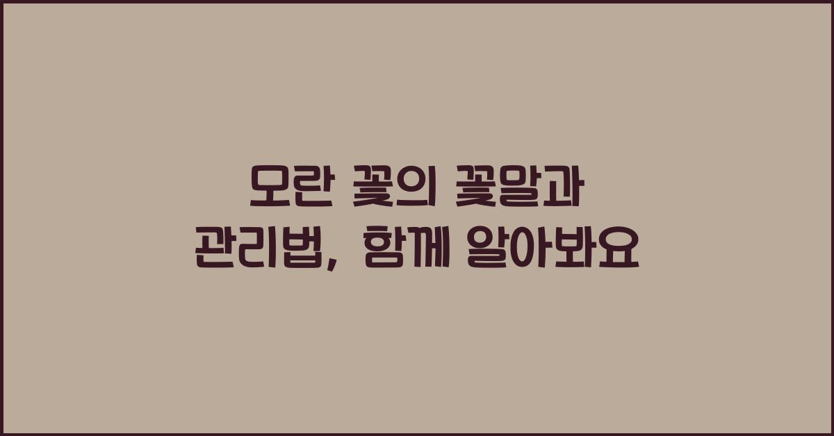 모란 꽃의 꽃말과 관리법