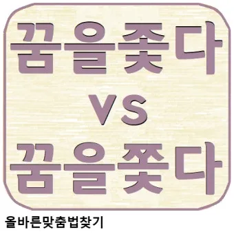좇다 쫓다 맞춤법 맞는 표현 예문_14