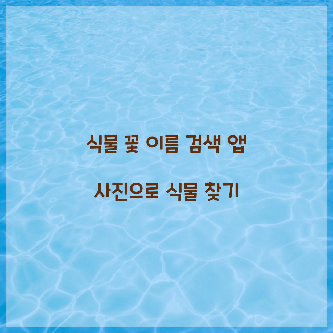 식물 꽃 이름 검색 앱