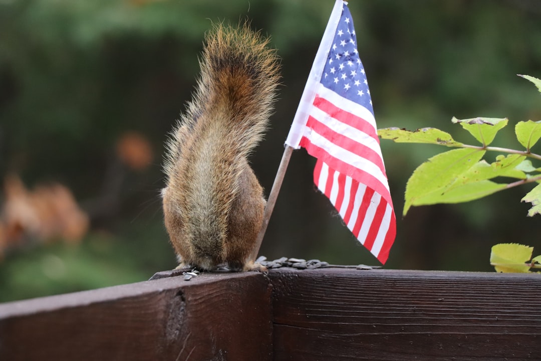 Presidential Candidate