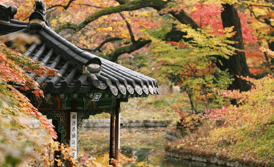 창덕궁 달빛