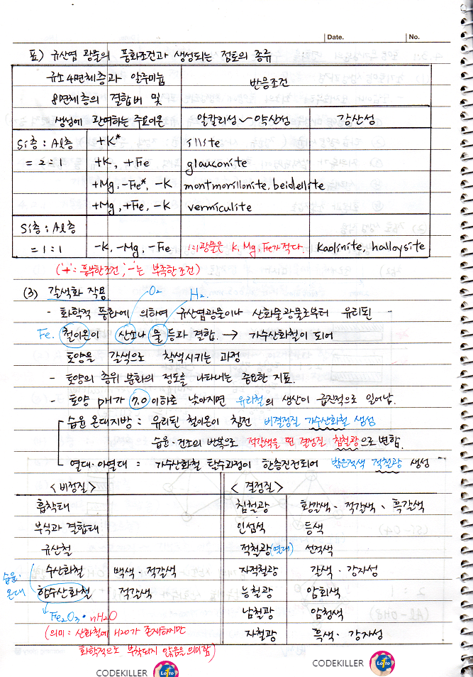 갈색화작용