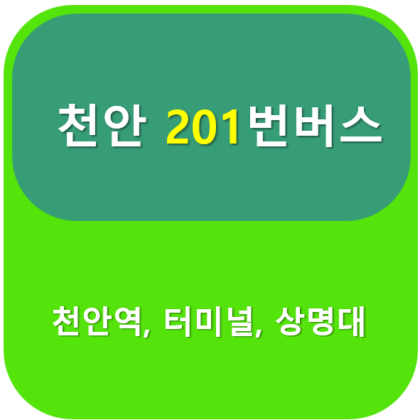 천안201번버스