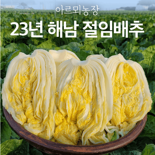 김장 절임 배추 20kg 가격 비교 추천
