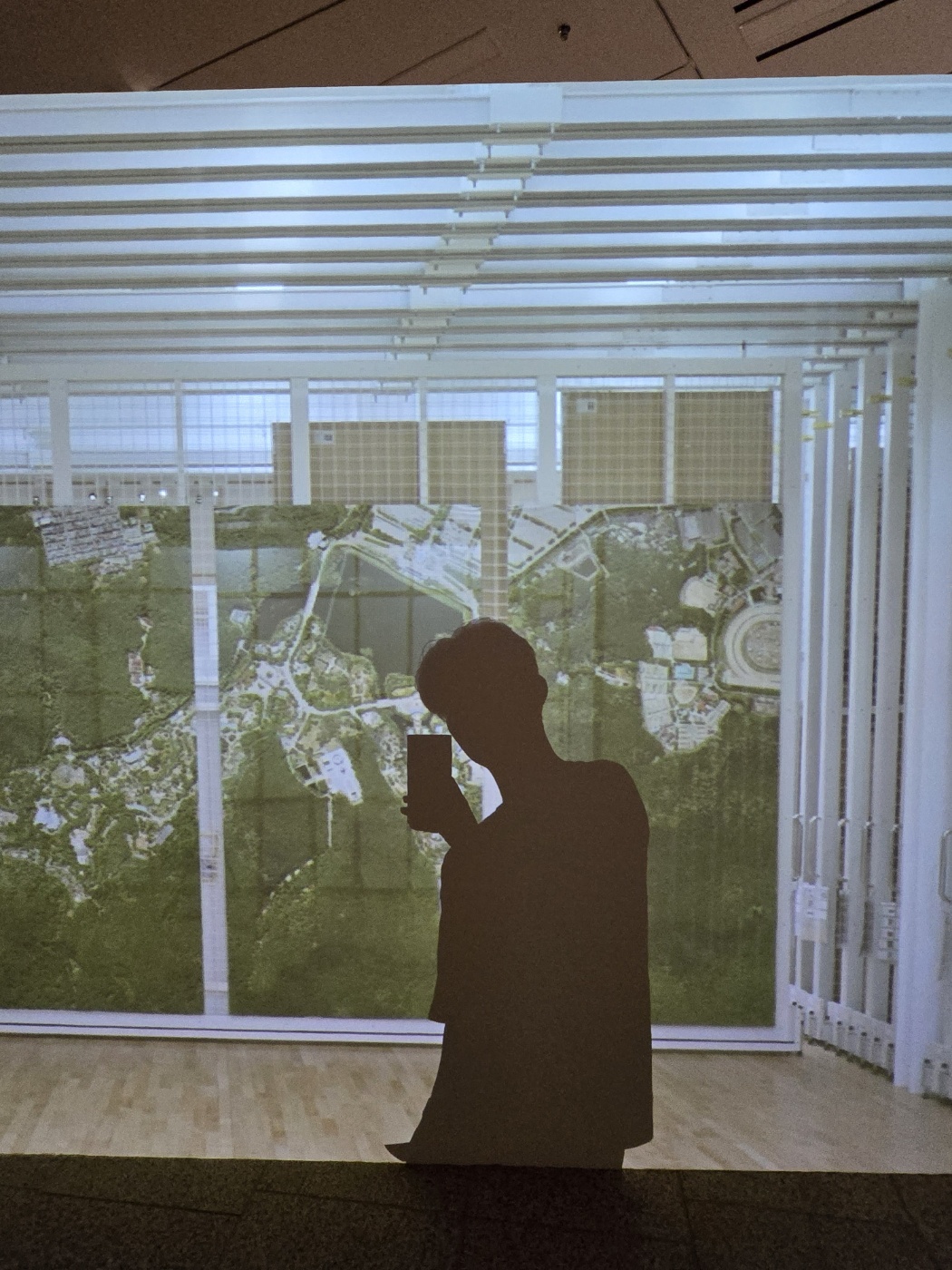 동물원 옆 미술관, 국립현대미술관 과천