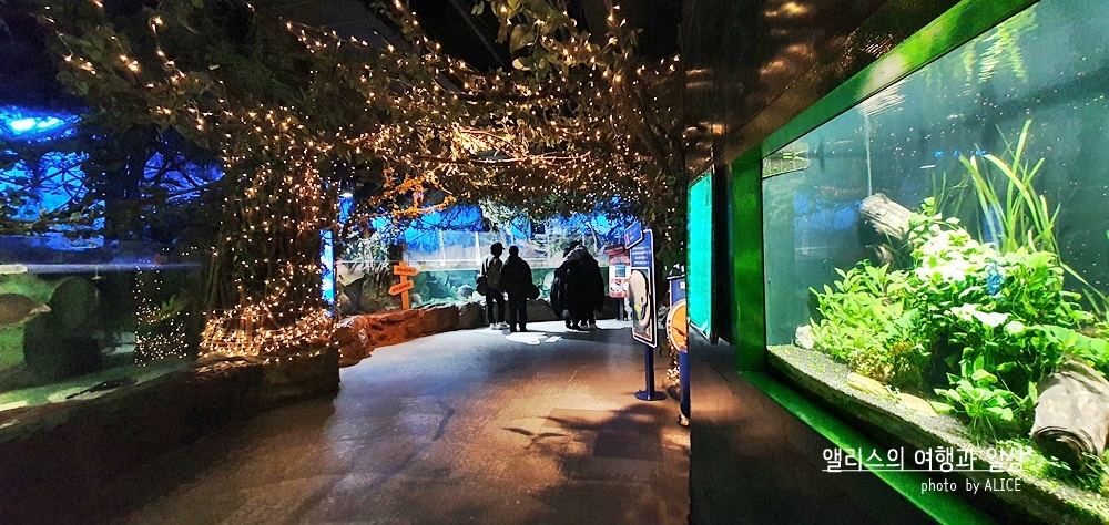 부산 실내 전시관 가볼만한곳 BEST 10