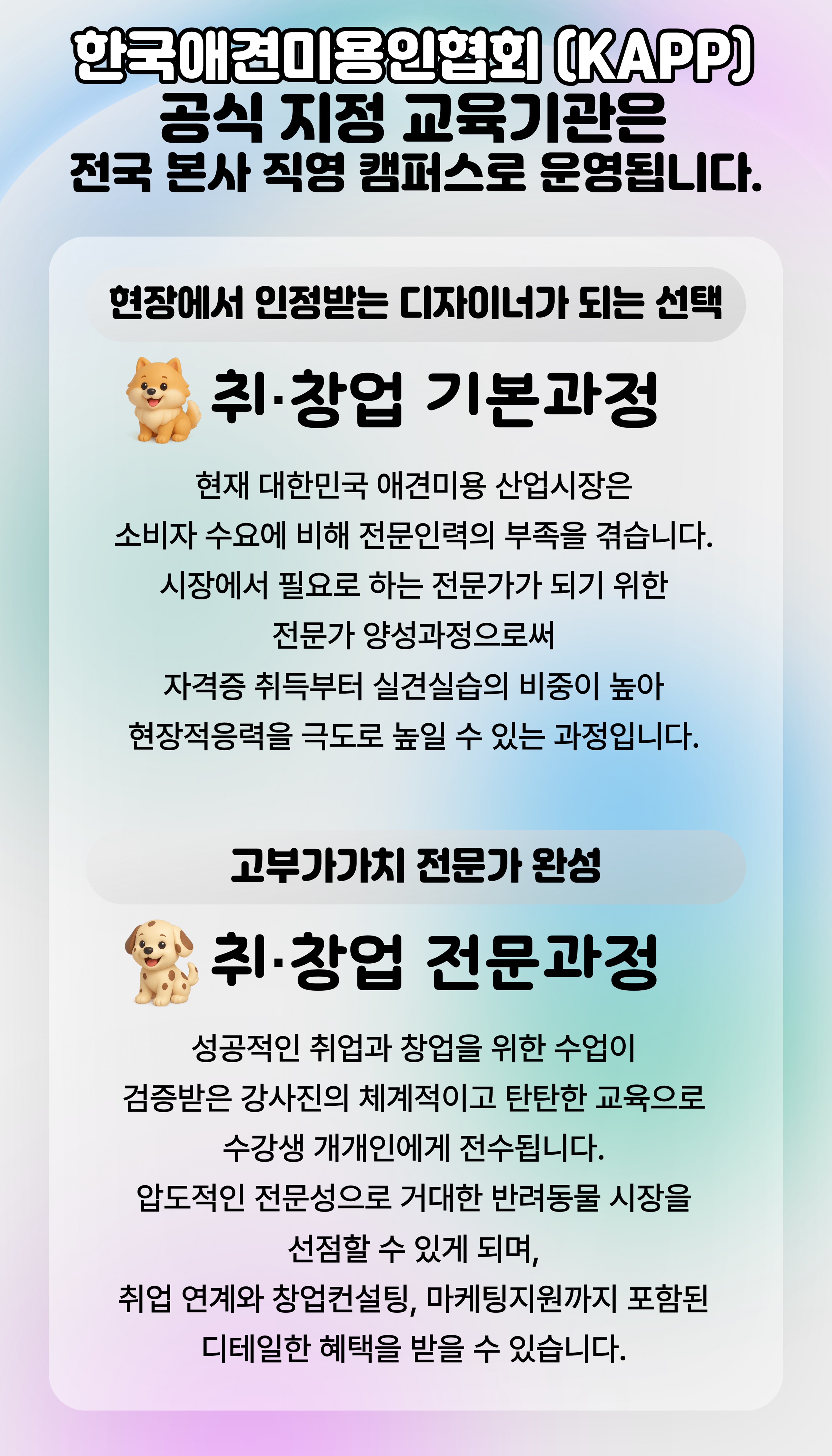 달서구애견미용학원