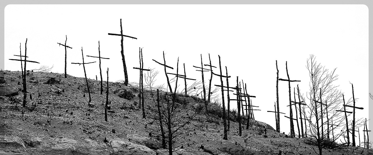 산불 전문 예방 진화대