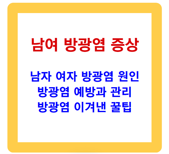 남자 방광염, 여자 방광염, 증상과 치료, 관리 꿀팁 총정리