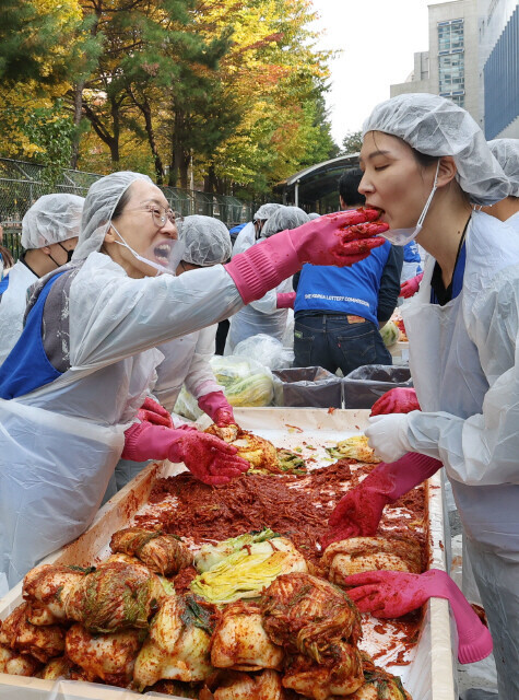김장 배추 김치 주문 가격 할인 모음