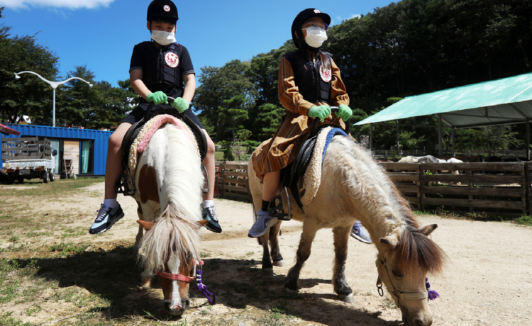 포천 허브아일랜드