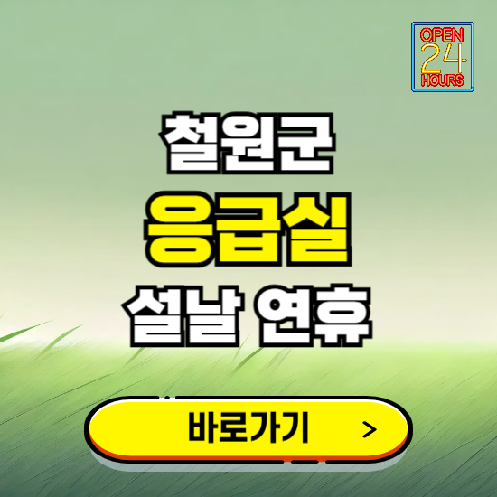 철원군 설날 연휴 비상진료 응급실 병원 찾기 ❘ 내근처 24시 야간 심야 휴일 가능한 곳