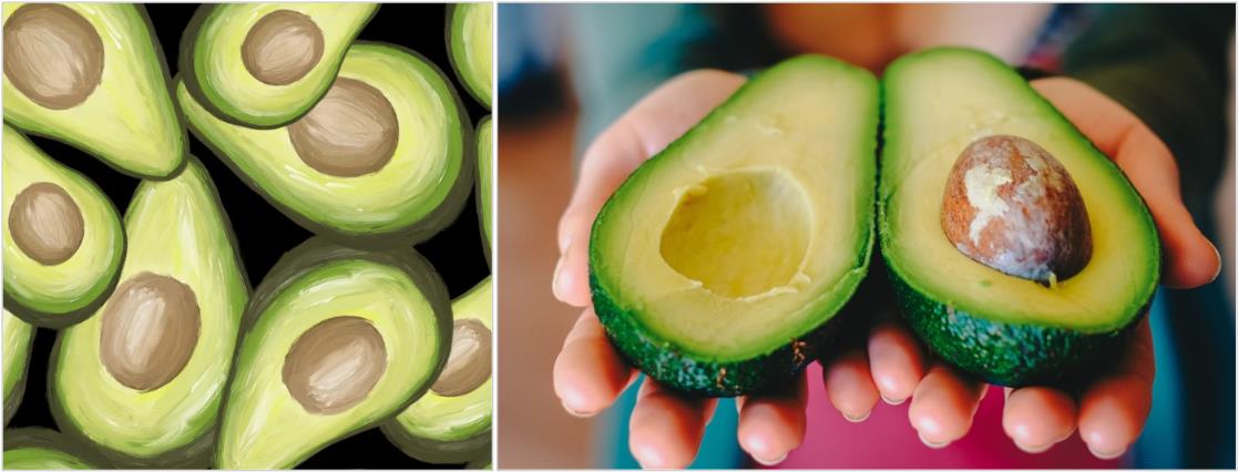 아보카도-사진들-1
