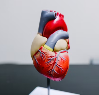 고지혈증 치료법 진단기준 예방