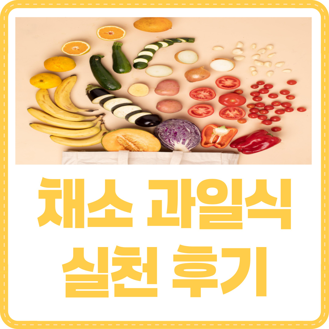 채소 과일식
