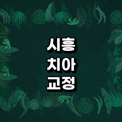 시흥시 교정 치과