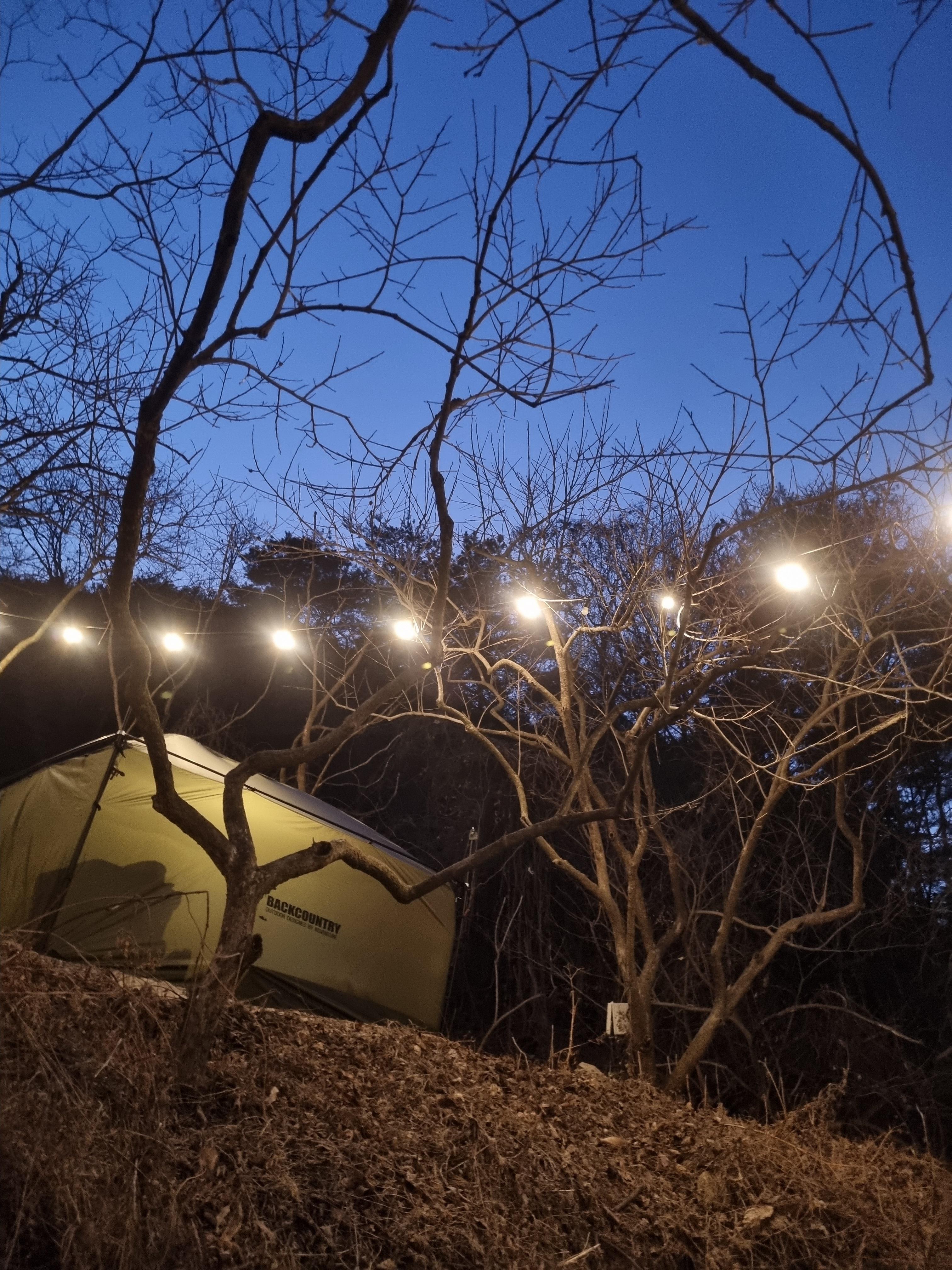 캠핑홀릭 캠핑장