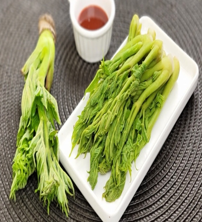 6시내고향-춘천- 땅두릅