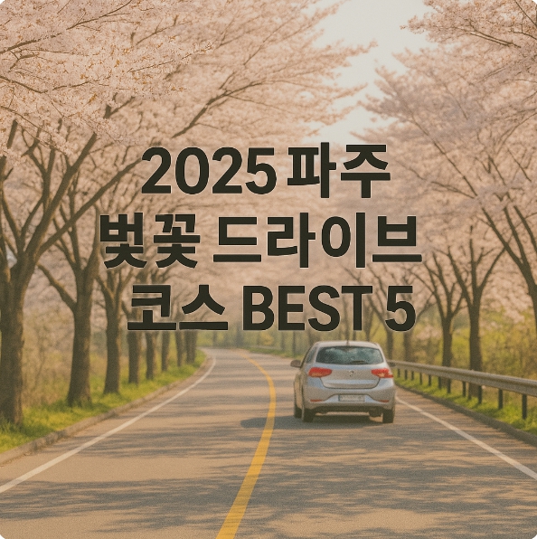 2025 파주 벚꽃 드라이브 코스 BEST 5