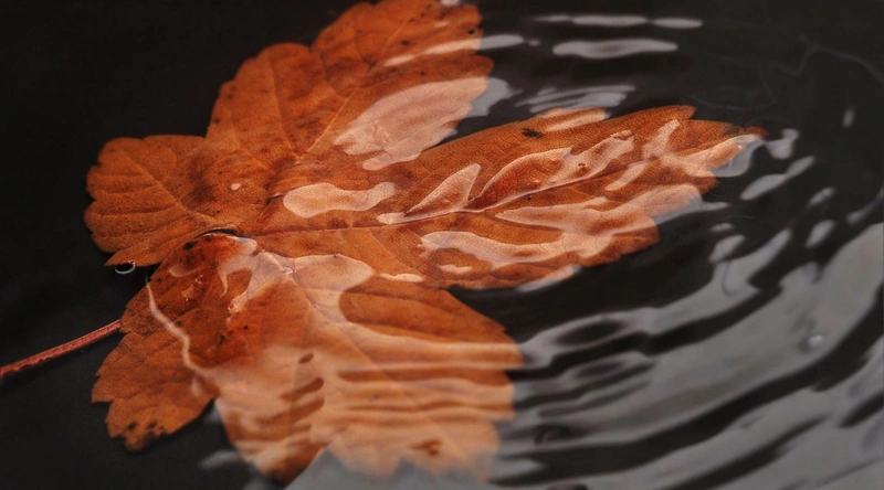 맑은 물에 빠지는 꿈해몽: 긍정적인 신호와 해석