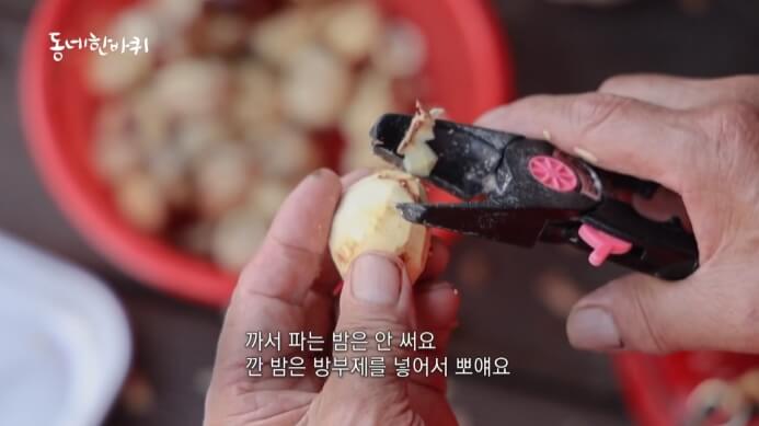 알밤