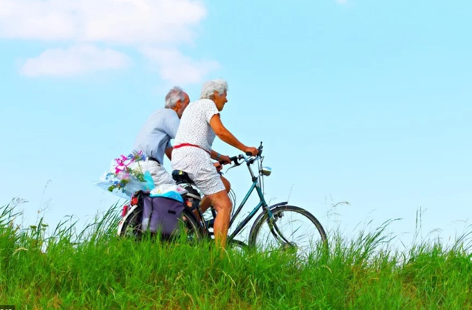고령자 고용지원 정책