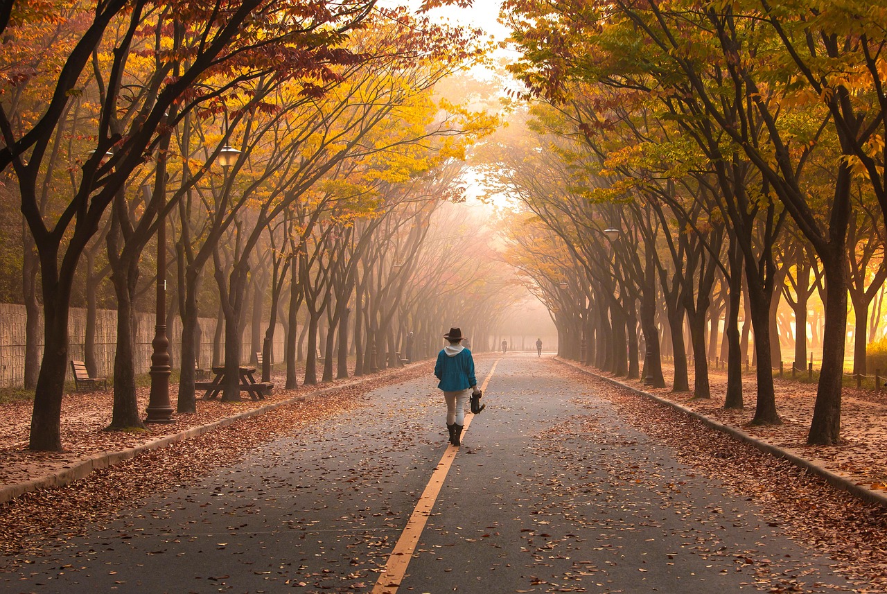 가을 풍경 이미지