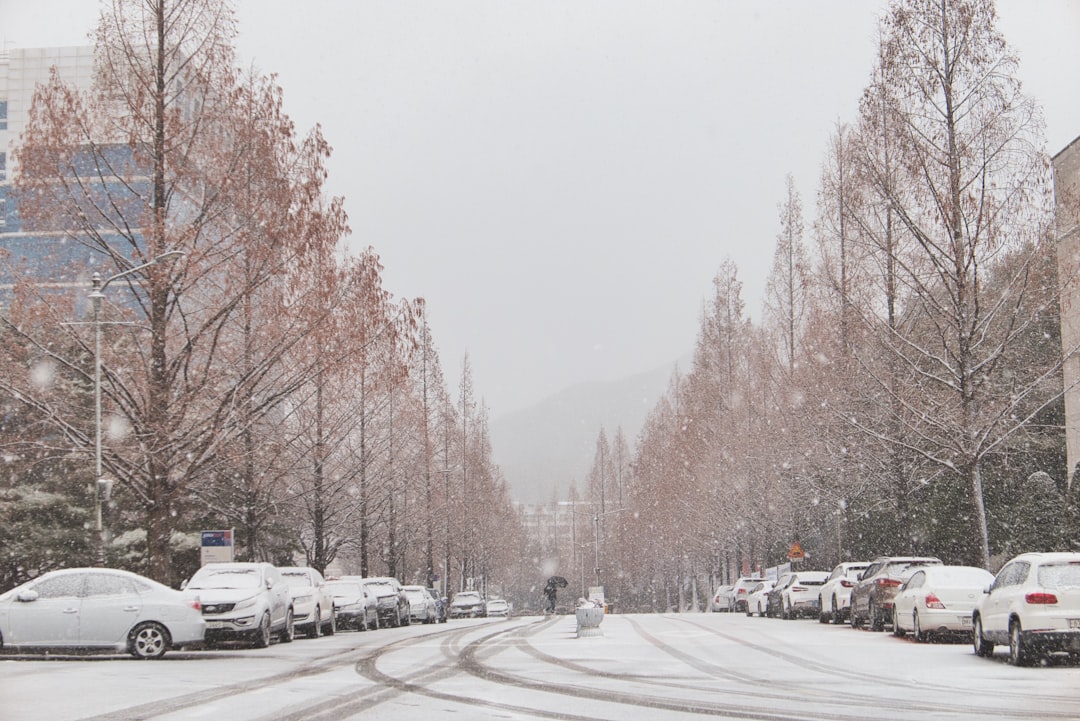 Cheonan