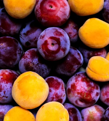 자두 효능 부작용 고르는법 칼로리